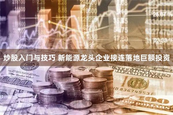 炒股入门与技巧 新能源龙头企业接连落地巨额投资